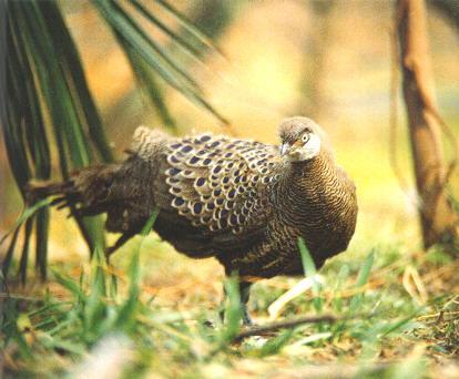 ���Ͽ�ȸ��