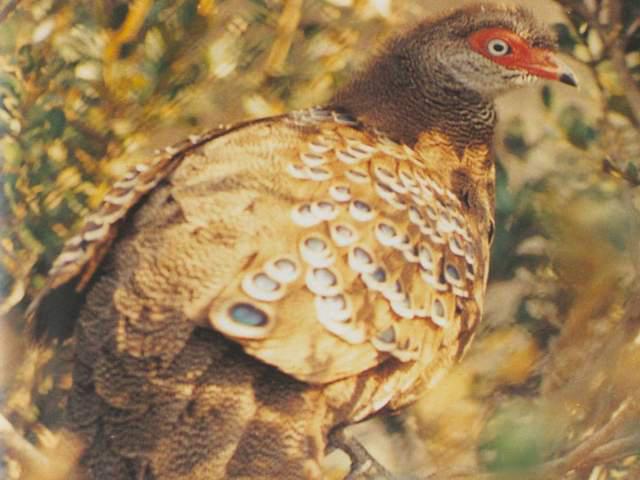 ���Ͽ�ȸ��