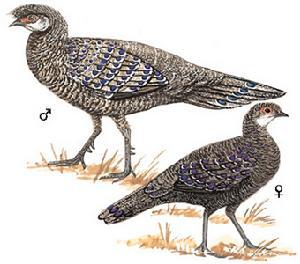 ���Ͽ�ȸ��