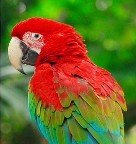 С������ĵ�ͼƬ