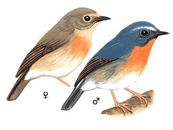 ���������l����̬����ͼ