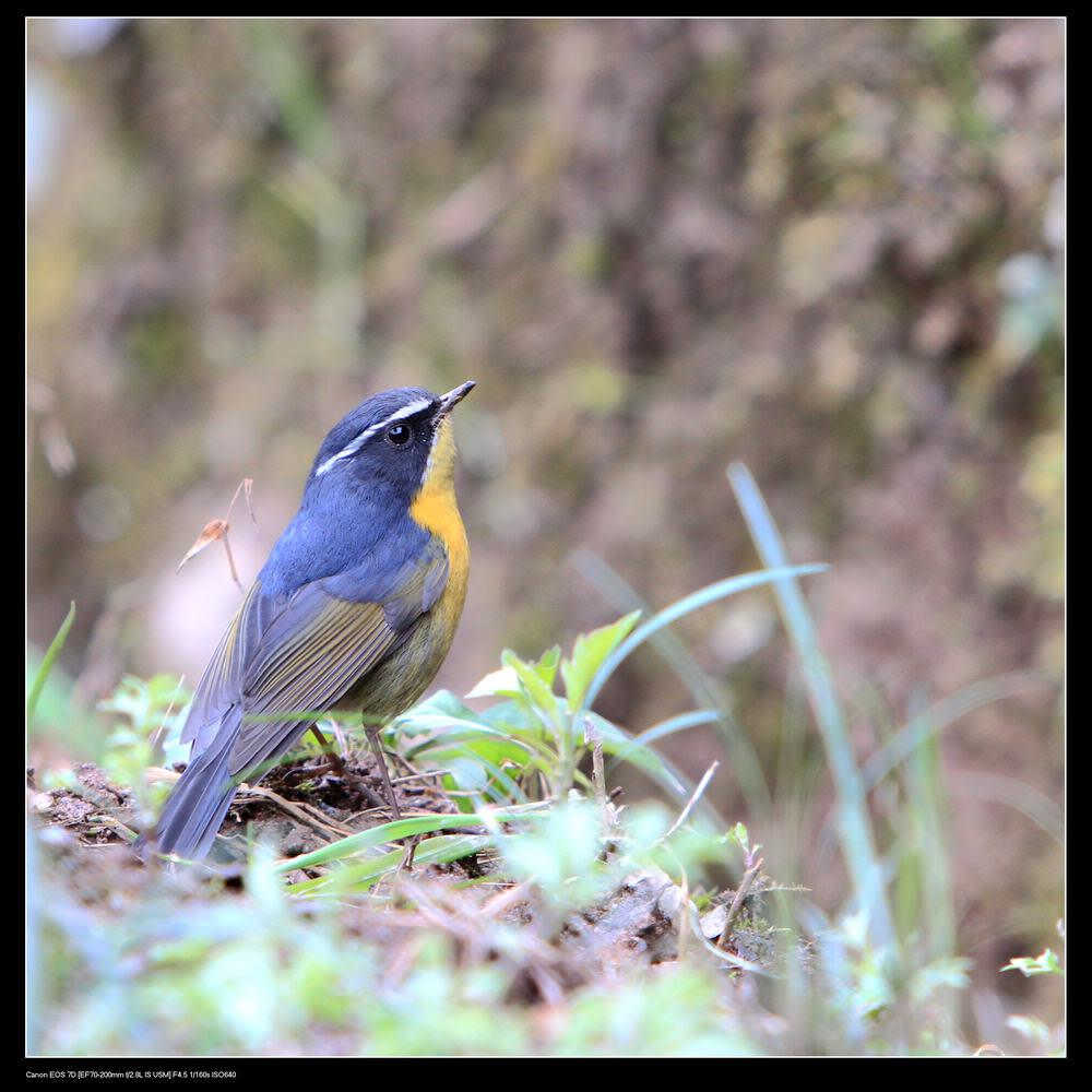 ���������l������