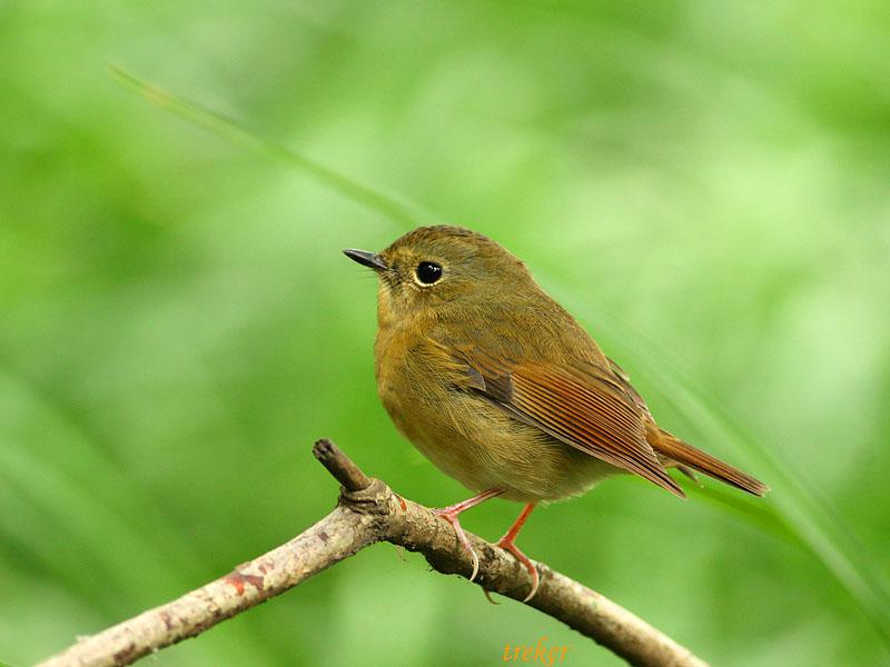 ���������l������