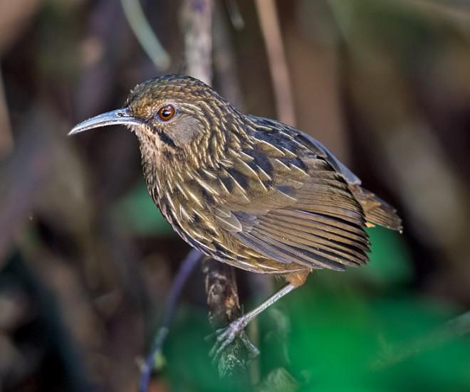 �������̵�ͼƬ