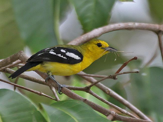 �ڳ�ȸ�ǵ�ͼƬ