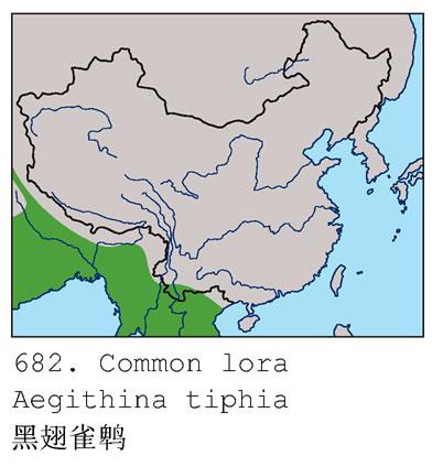 �ڳ�ȸ�ǣ������ֲ�ͼ