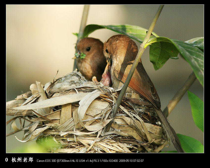 ��ͷѻȸ������