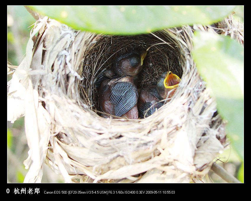 ��ͷѻȸ����