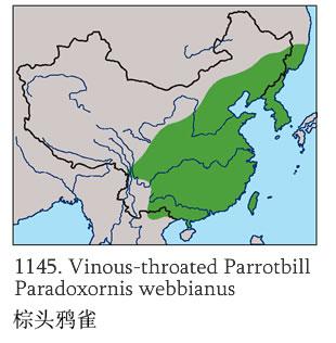 ��ͷѻȸ�������ֲ�ͼ