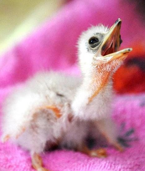 ���ϻ����Z����