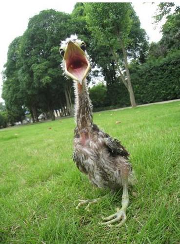 ���ϻ����Z����