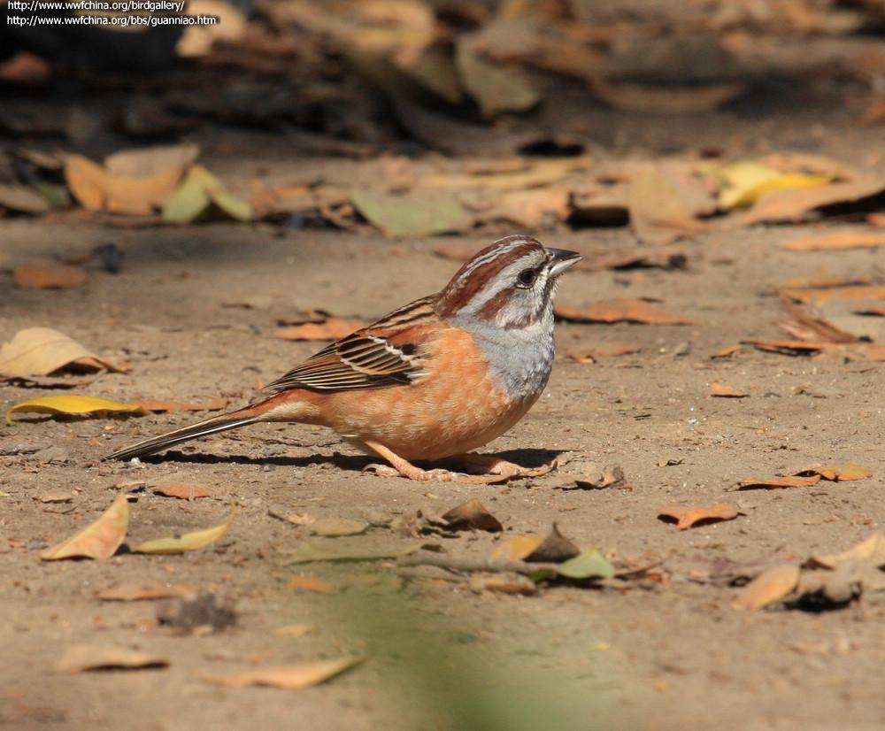 �������c