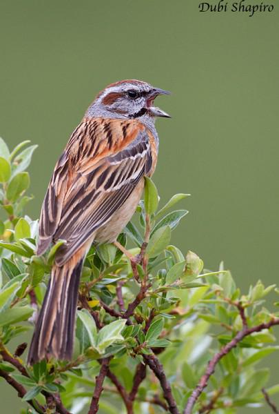 �������c