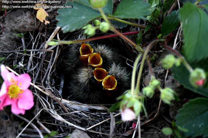 ��ȸ����