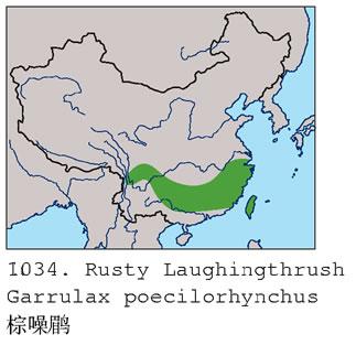 �����̣������ֲ�ͼ