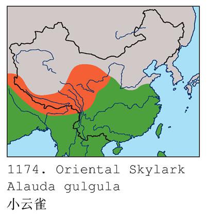 С��ȸ�������ֲ�ͼ