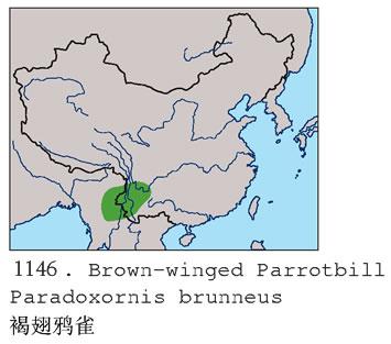 �ֳ�ѻȸ�������ֲ�ͼ