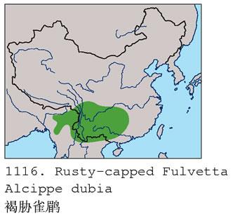 ��вȸ�̣������ֲ�ͼ