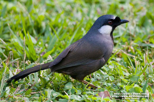 �ں����̵�ͼƬ