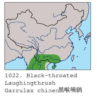 �ں����̣������ֲ�ͼ