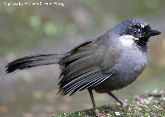 �ں����̣��ǳ���