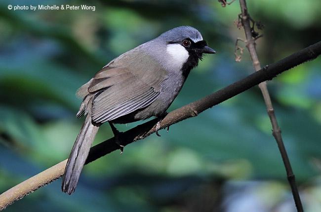 �ں�����