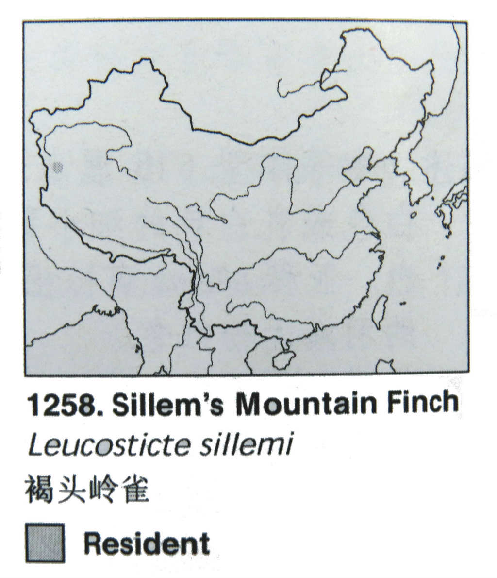 ��ͷ��ȸ�������ֲ�ͼ