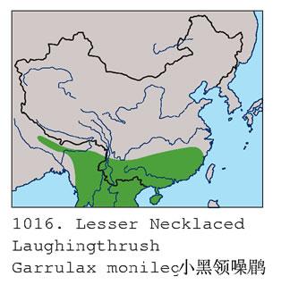 С��������