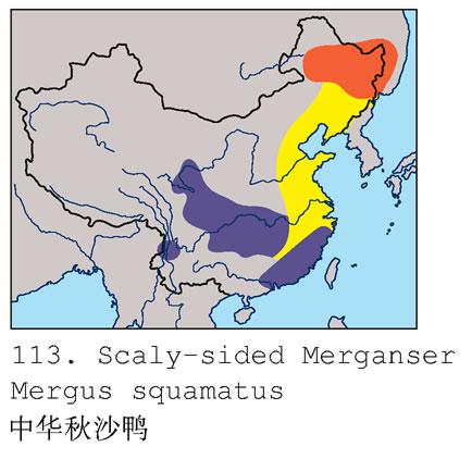 �л���ɳѼ�������ֲ�ͼ