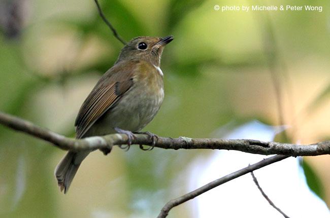 �ظ������l�������������