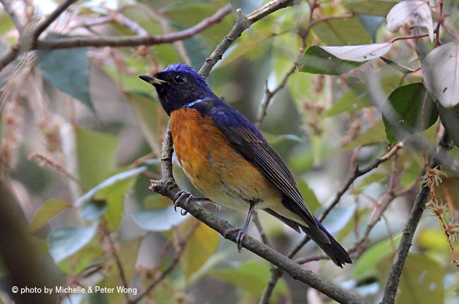 �ظ������l�������������