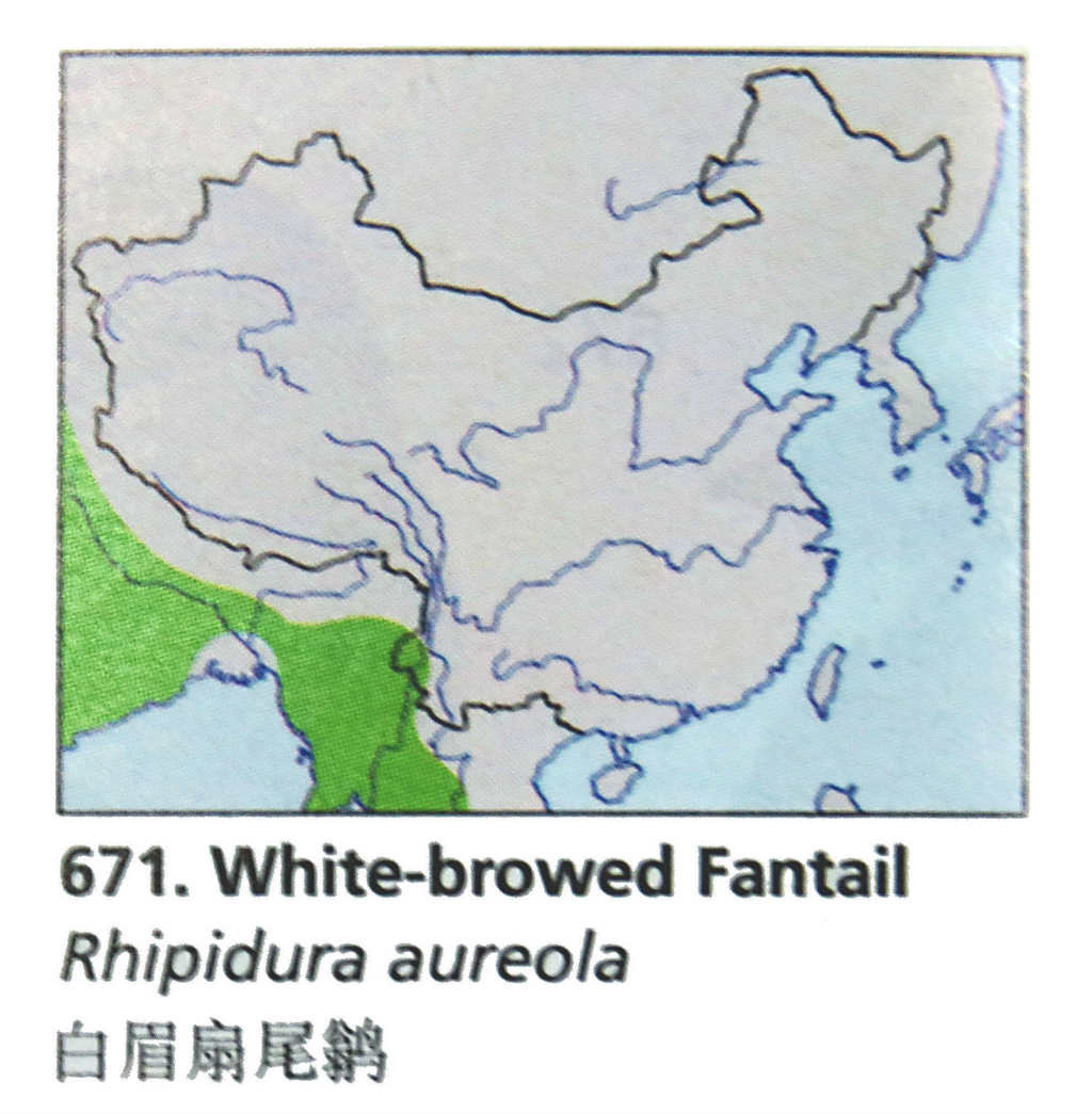 ��ü��βݺ�������ֲ�ͼ