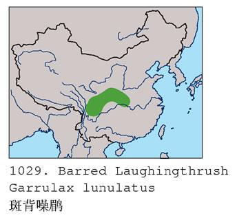 �߱�����