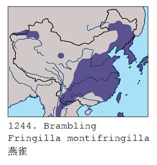 ��ȸ�������ֲ�ͼ