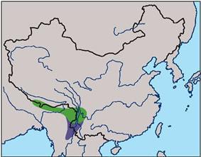 Ѫȸ�������ֲ�ͼ