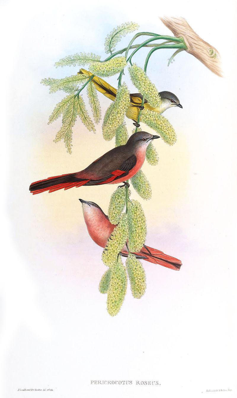 �ۺ�ɽ������̬����ͼ