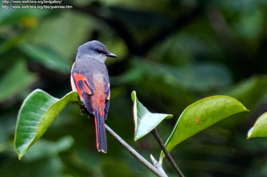 �ۺ�ɽ��������