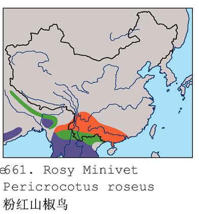 �ۺ�ɽ���񣺵����ֲ�ͼ