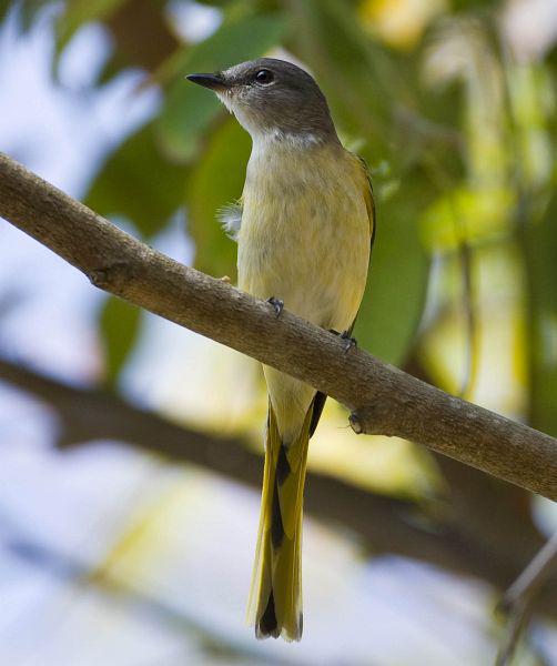 �ۺ�ɽ���񣺴���