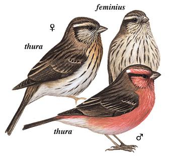 ��ü��ȸ����̬����ͼ