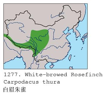 ��ü��ȸ�������ֲ�ͼ