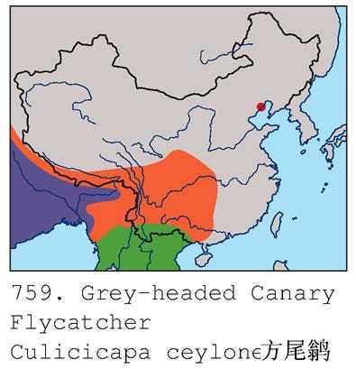 ��β�l�������ֲ�ͼ