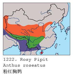 �ۺ����ң������ֲ�ͼ