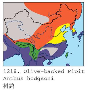 ���ң��й��ֲ�ͼ