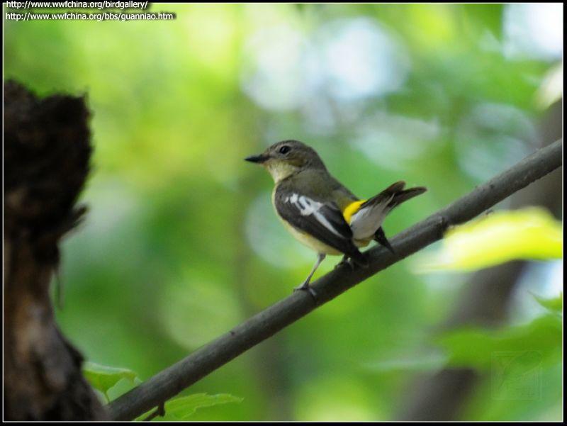 ��ü���l������