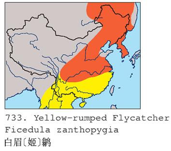 ��ü���l�������ֲ�ͼ