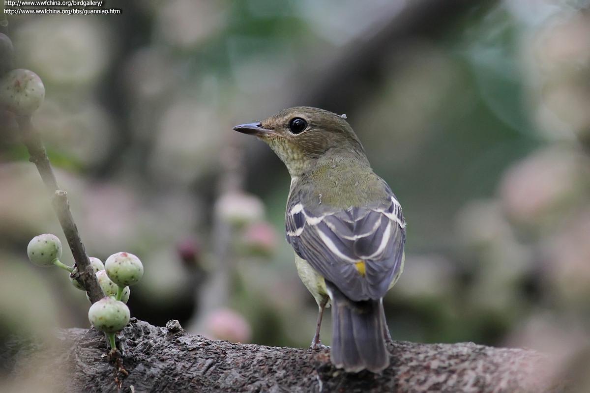 ��ü���l������