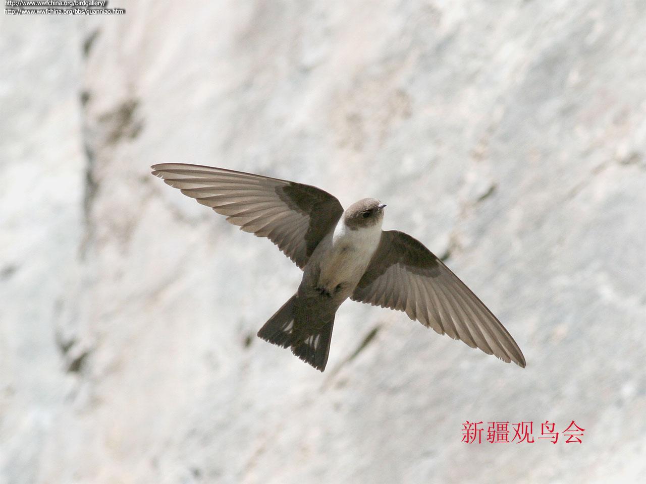 ���ࣺ����ͼ