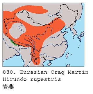 ���ࣺ�����ֲ�ͼ