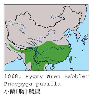 С��������